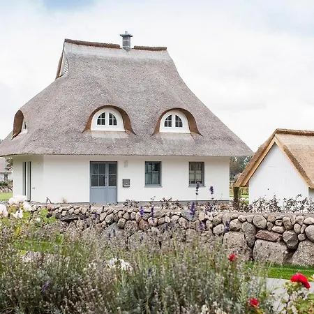 Haubenlerche 40 Fuhlendorf (Mecklenburg-Vorpommern)