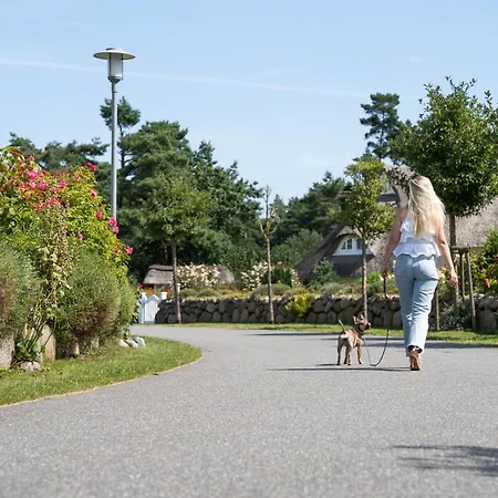 Haubenlerche 40 Fuhlendorf (Mecklenburg-Vorpommern)